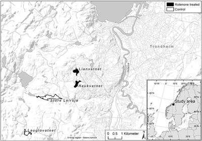 DNA Metabarcoding of Preservative Ethanol Reveals Changes in Invertebrate Community Composition Following Rotenone Treatment